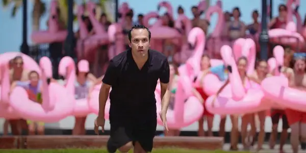 THE MYSTERY OF THE PINK FLAMINGO: La Vie En Kitsch THE MYSTERY OF THE PINK FLAMINGO: La Vie En Kitsch