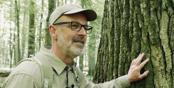 THE HIDDEN LIFE OF TREES: Conservationist Peter Wohlleben Speaks for The Trees