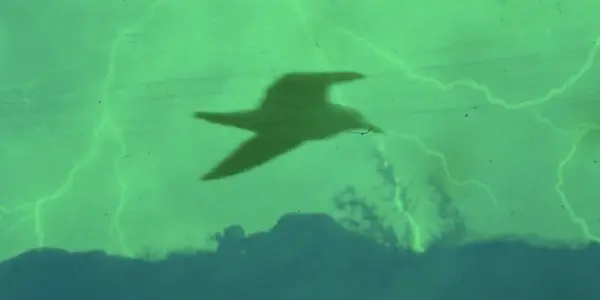 MARINER OF THE MOUNTAINS: The Sea, The Stars And Everything In Between MARINER OF THE MOUNTAINS: The Sea, The Stars And Everything In Between