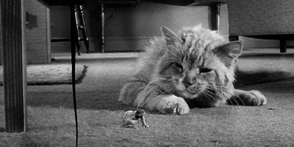 Inquiring Minds: THE INCREDIBLE SHRINKING MAN (1957) Inquiring Minds: THE INCREDIBLE SHRINKING MAN (1957)