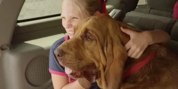 FREE PUPPIES!: "There Is Always One More"