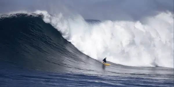 SURFER: TEEN CONFRONTS FEAR: In Search of a Modern Cult Classic SURFER: TEEN CONFRONTS FEAR: In Search of a Modern Cult Classic