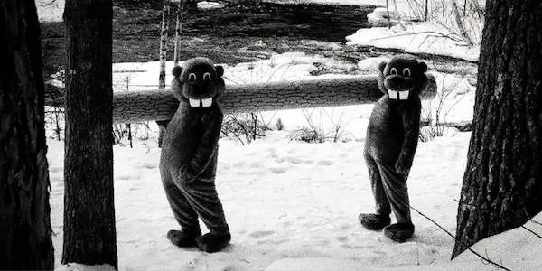HUNDREDS OF BEAVERS: A Fur Trapping Photoplay Of The Highest Order HUNDREDS OF BEAVERS: A Fur Trapping Photoplay Of The Highest Order