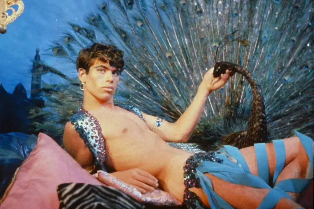 PINK NARCISSUS: A Queer Underground Classic Resurfaces