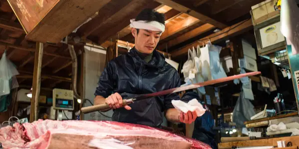 Bite to Bite: A Fresh Look at Fishing