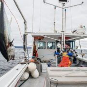 Bite to Bite: A Fresh Look at Fishing