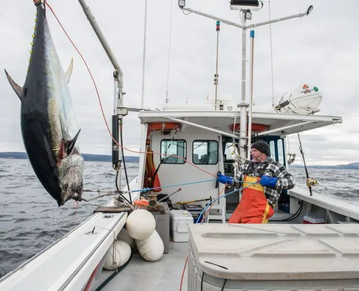 Bite to Bite: A Fresh Look at Fishing