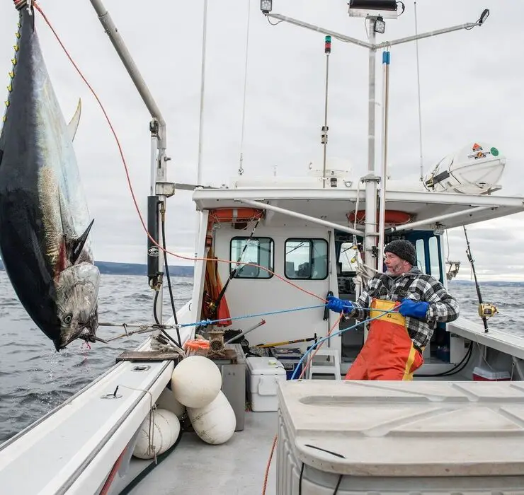 Bite to Bite: A Fresh Look at Fishing