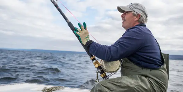 Bite to Bite: A Fresh Look at Fishing