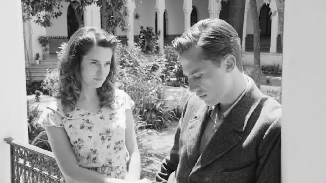 THE STRANGER: Existentialism Under the Sun