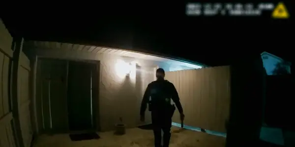 "The Perfect Neighbor"