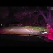 "The Perfect Neighbor" review