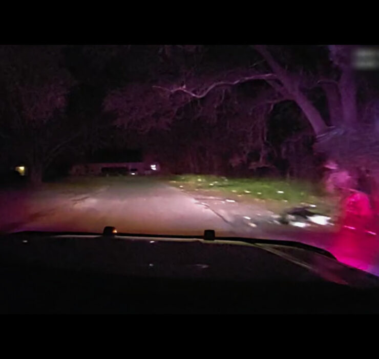 "The Perfect Neighbor" review