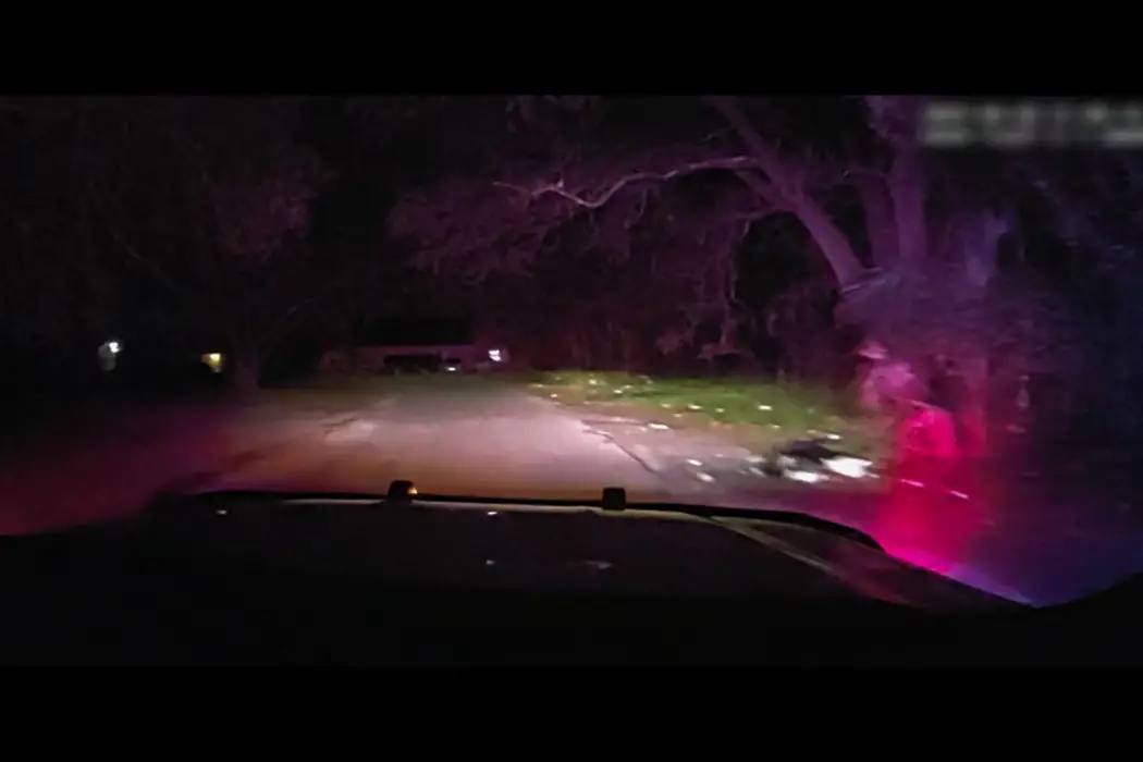 "The Perfect Neighbor" review