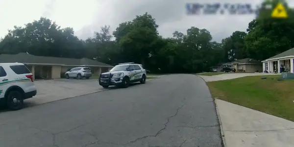 "The Perfect Neighbor"